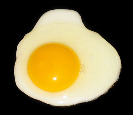 هفت دلیل واجب برای خوردن تخم‌مرغ سر صبح